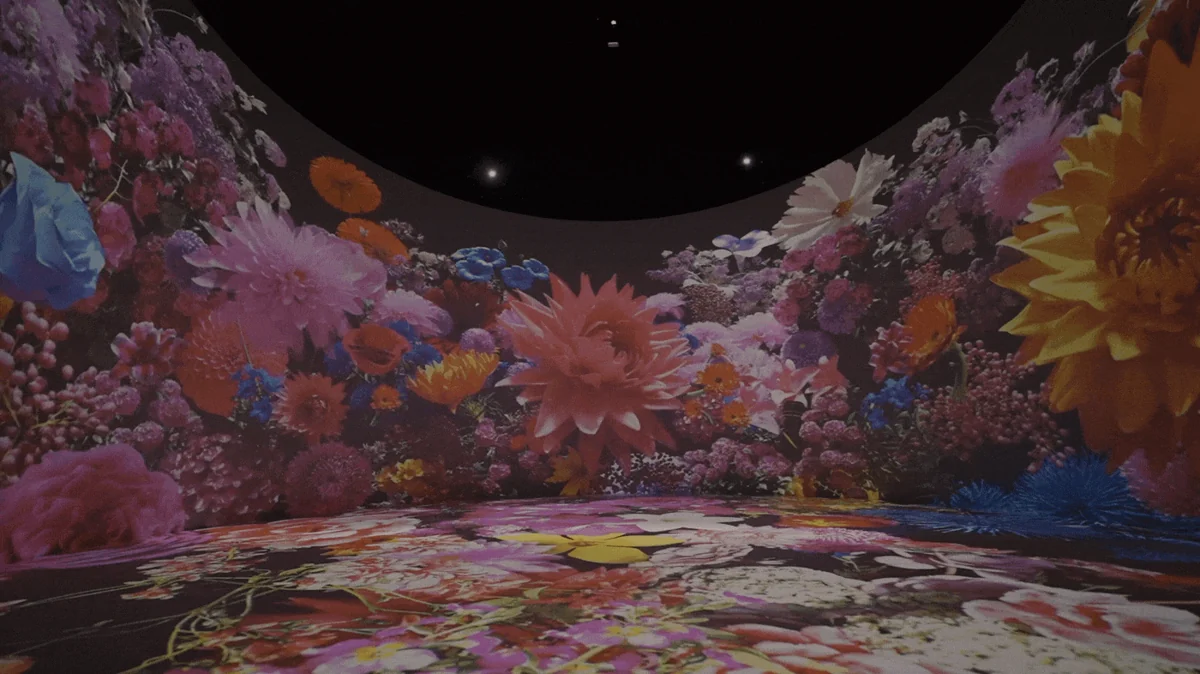 Content & Media — immersive experience visual